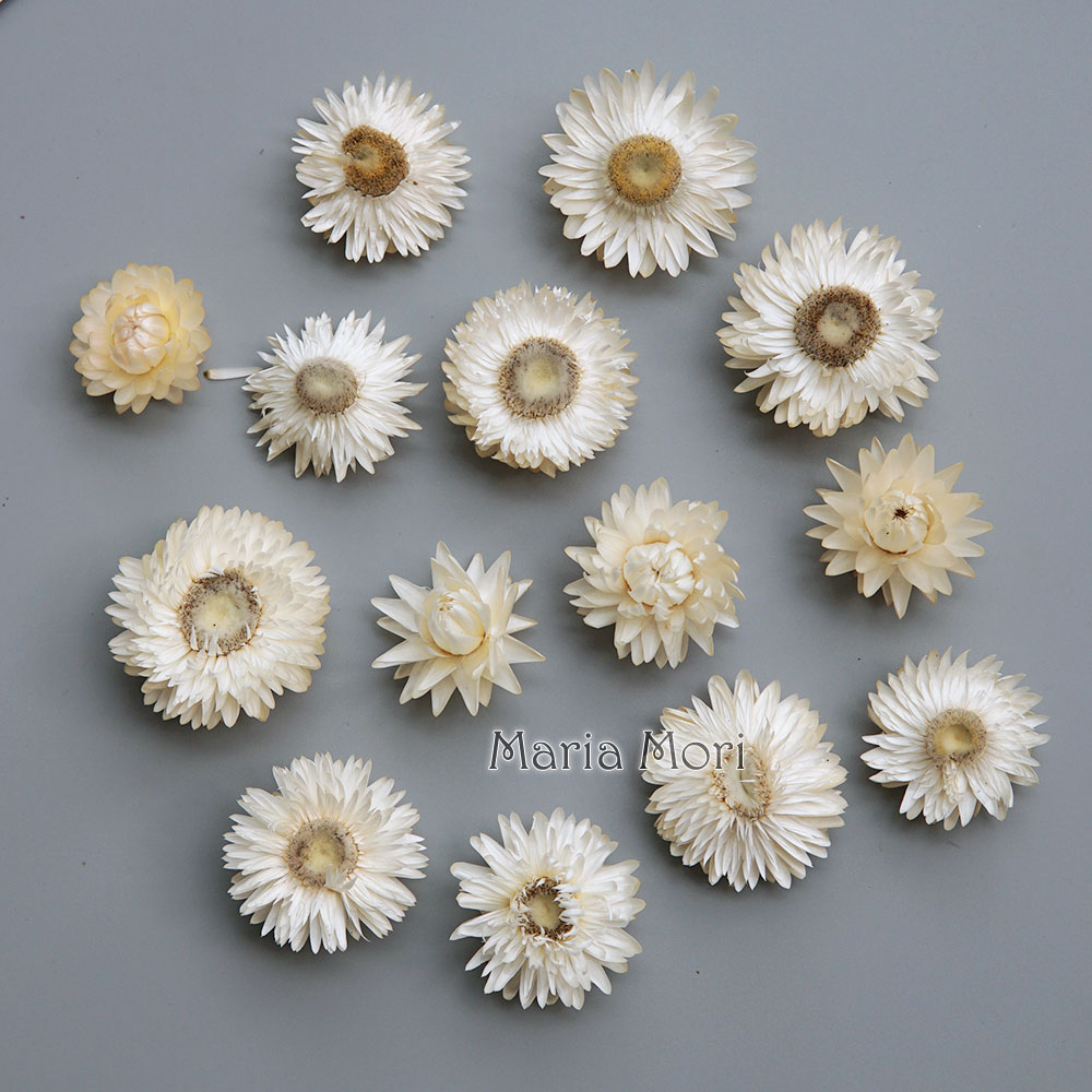 Baby Products For 1 Year Old - Couronne de chrysanthème colorée séchée naturelle,