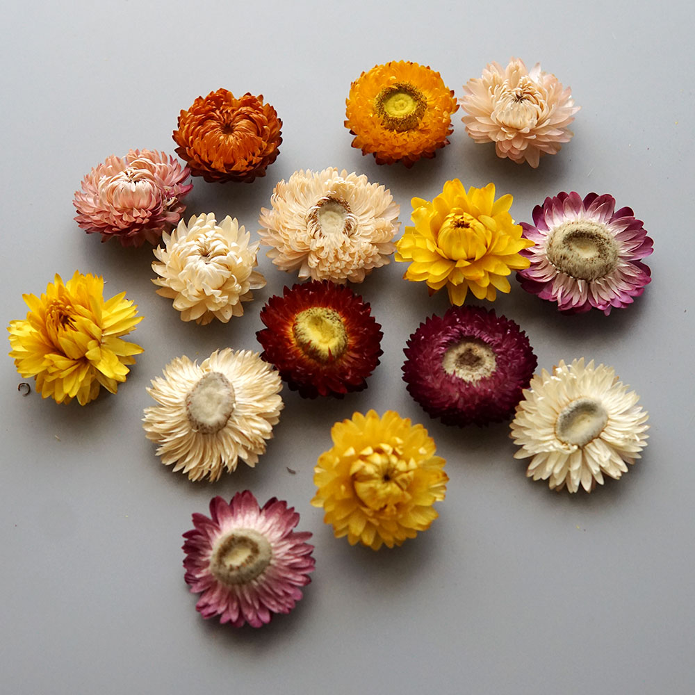 Couronne de chrysanthème color - Baby Products For 1 Year Old avis et prix