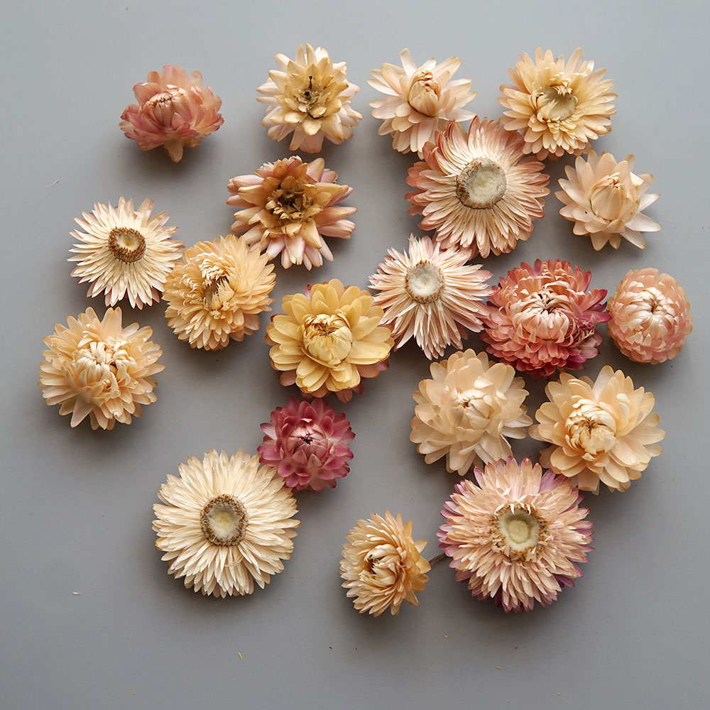 Couronne de chrysanthème color - Baby Products For 1 Year Old avis et prix