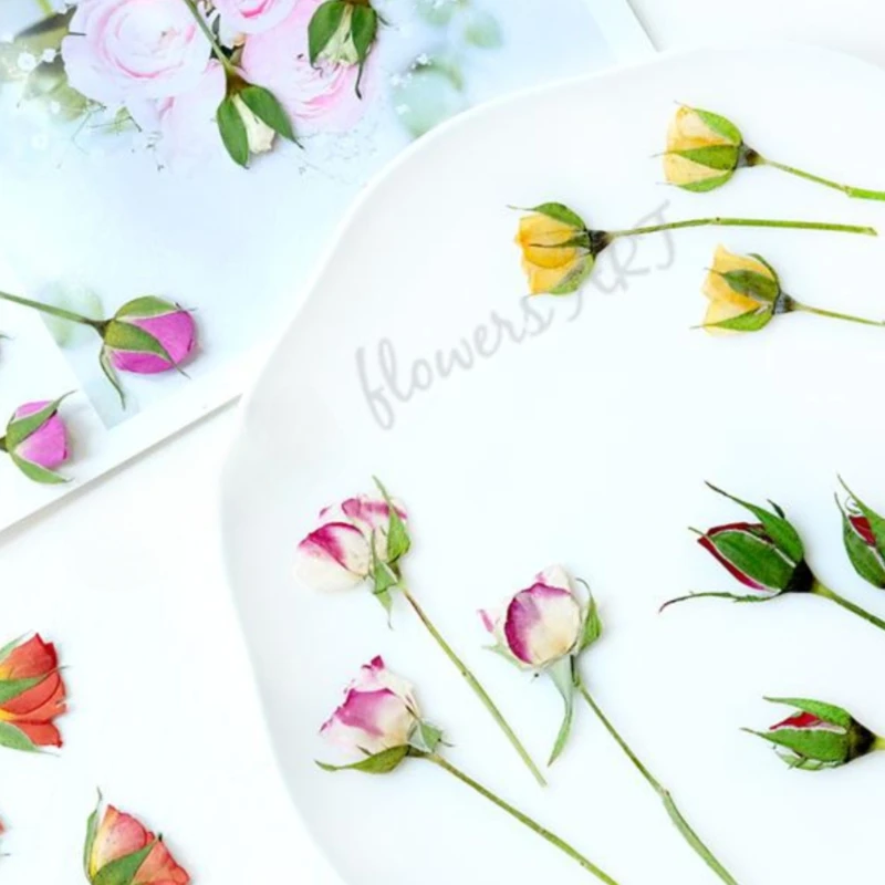 Pétales de rose pressés, fleur - Baby Products Decoration avis et prix
