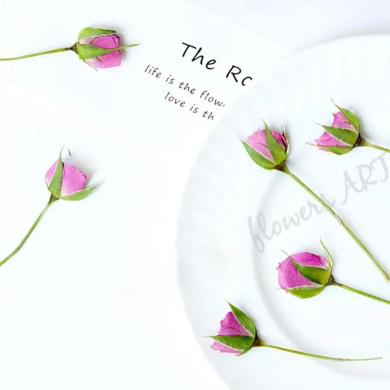 Pétales de rose pressés, fleur - Baby Products Decoration avis et prix