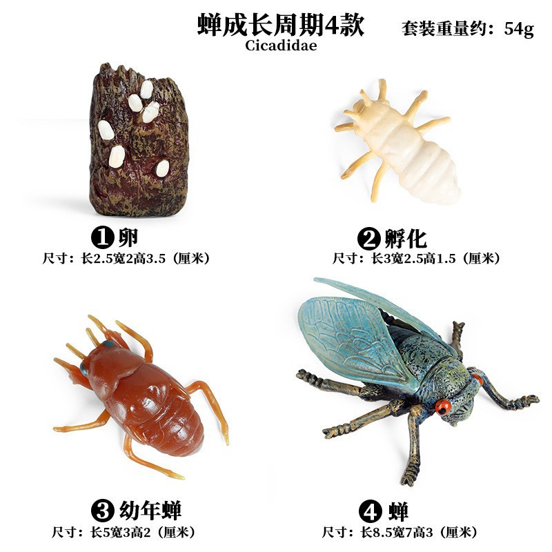 Cycle de croissance de vie, Si - Baby Products China avis et prix
